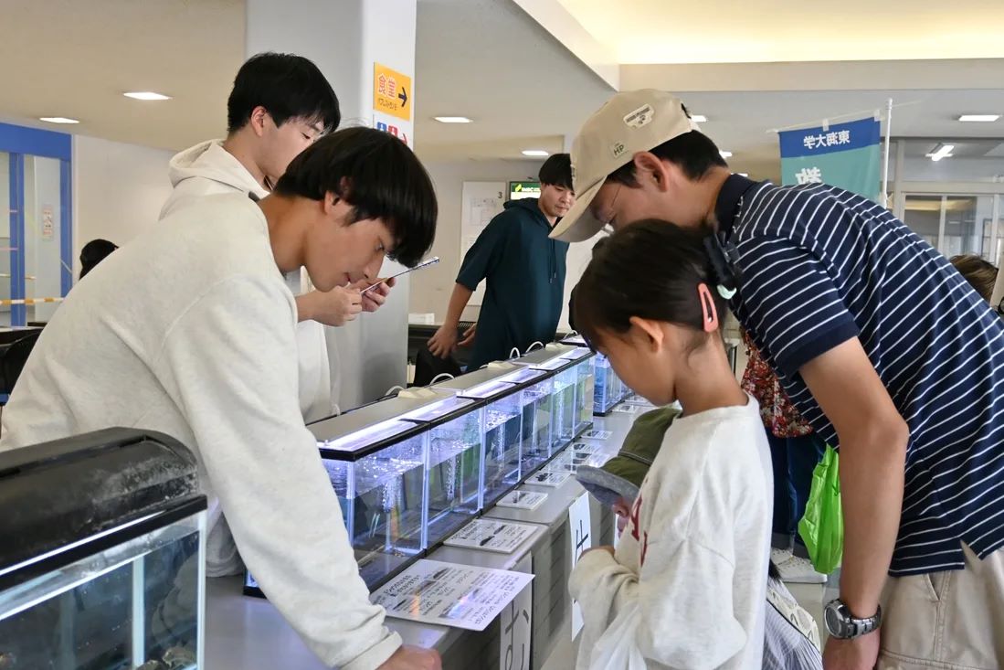 クリックすると拡大表示になります